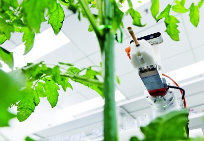 首臺(tái)全流程智能育種機(jī)器人亮相，引領(lǐng)生物科技研究新浪潮