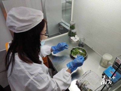 梅州 統(tǒng)籌涉農(nóng)資金辦大事，南藥產(chǎn)業(yè)發(fā)展獲生物科技研究強(qiáng)力支撐