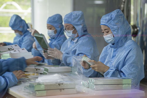 有綠、有技、有特色 鄉(xiāng)村振興新活力中的生物科技力量